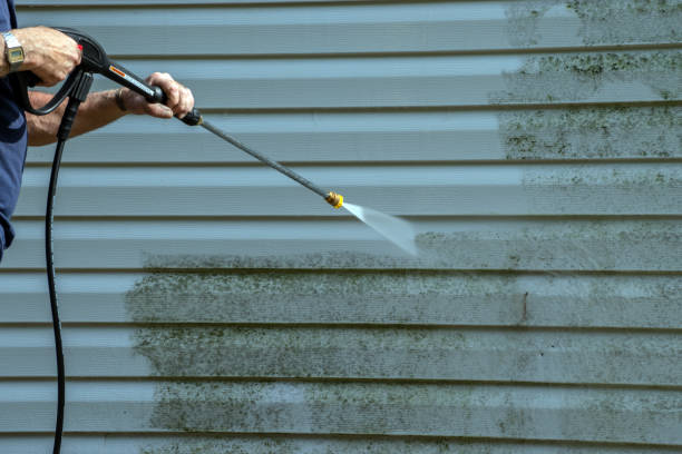 Best Roof Pressure Washing  in Kings Park West, VA