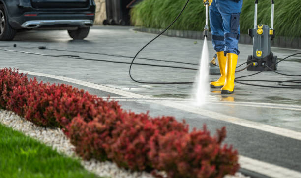 Best Sidewalk Pressure Washing  in Kings Park West, VA