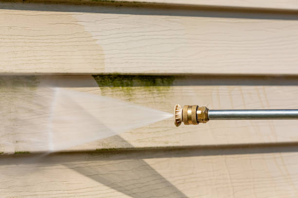 Best Roof Power Washing Services  in Kings Park West, VA
